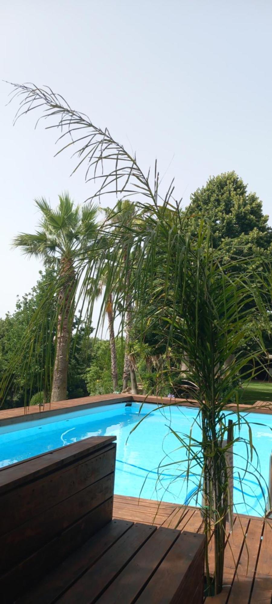 Bed & Breakfast Il Casale Del Sogno Ardea
