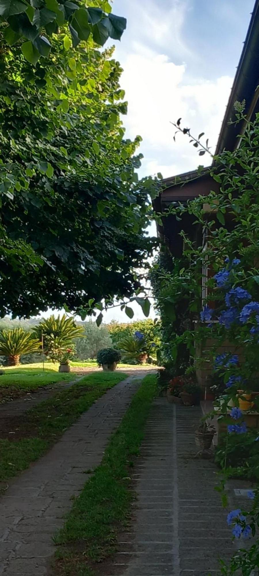 Bed & Breakfast Il Casale Del Sogno Ardea