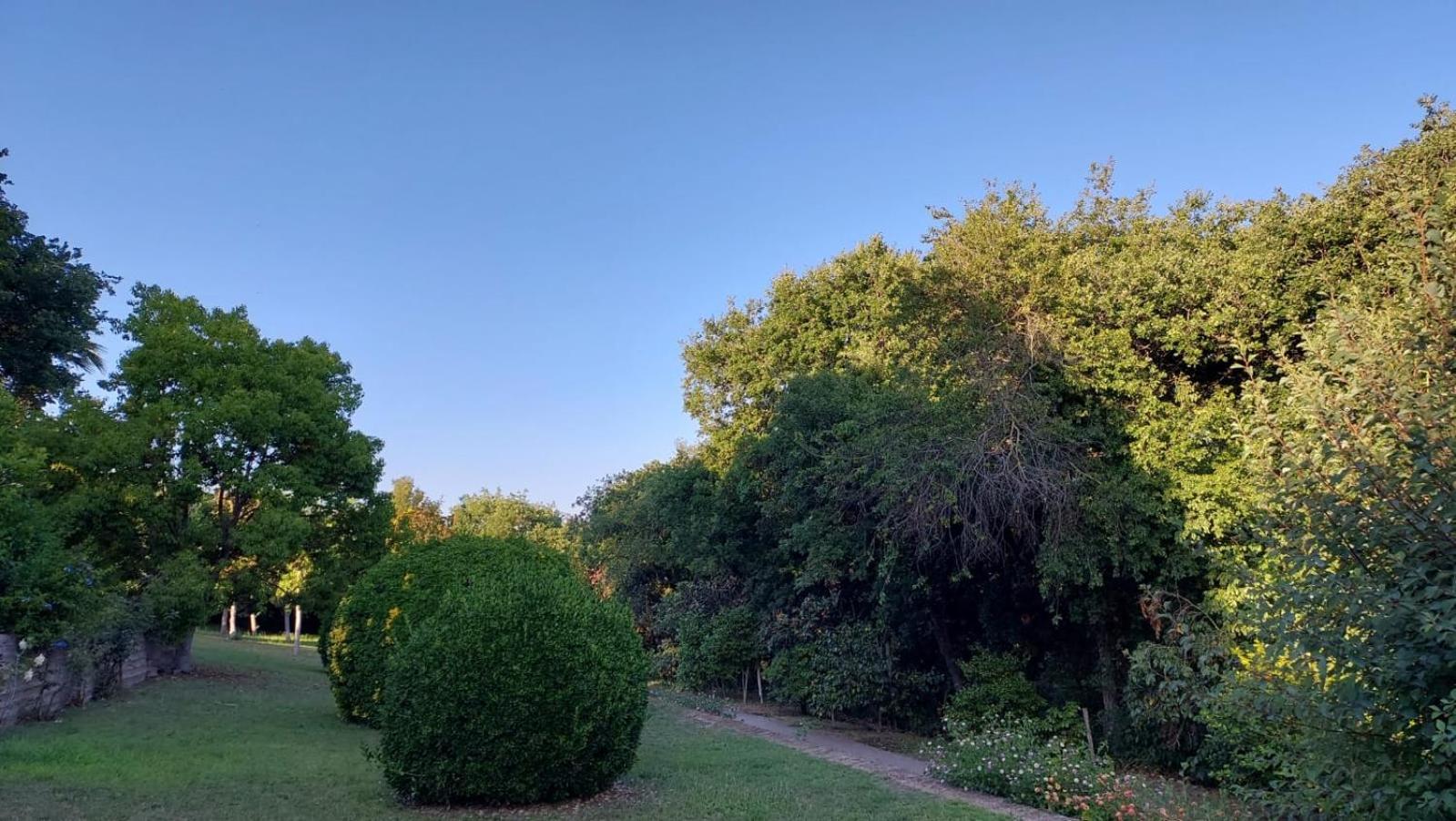 Il Casale Del Sogno Bed & Breakfast Ardea