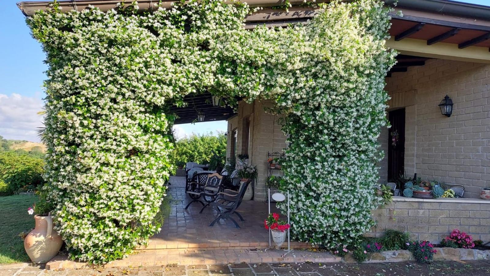 Il Casale Del Sogno Bed & Breakfast Ardea