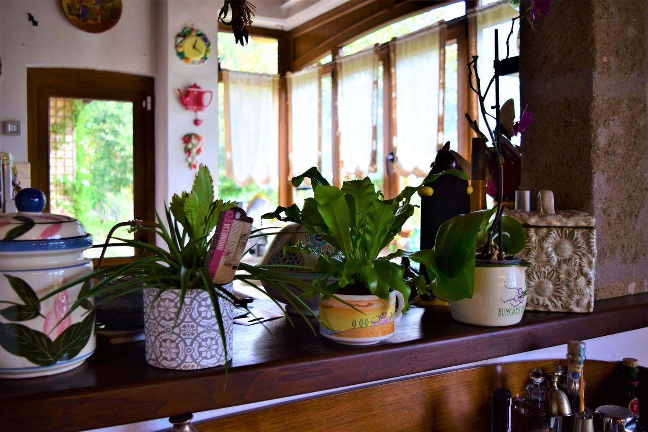 Bed & Breakfast Il Casale Del Sogno