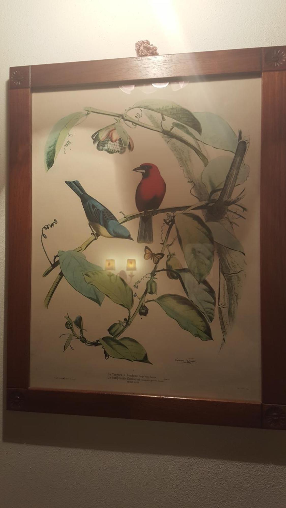 Il Casale Del Sogno Ardea